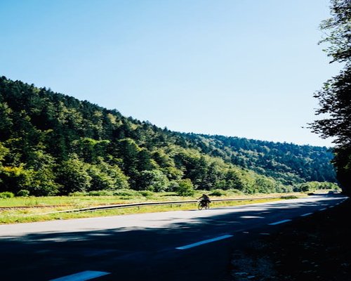 Cyclist on a road with greenery